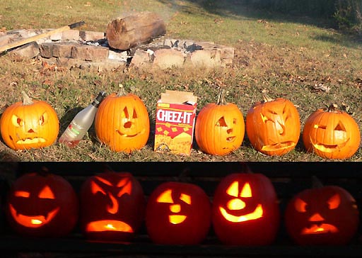 all the pumpkins